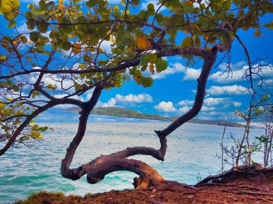 فيلا Poetry Garden Bocas Town Colon Island المظهر الخارجي الصورة