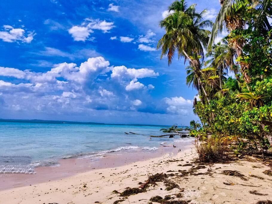 فيلا Poetry Garden Bocas Town Colon Island المظهر الخارجي الصورة