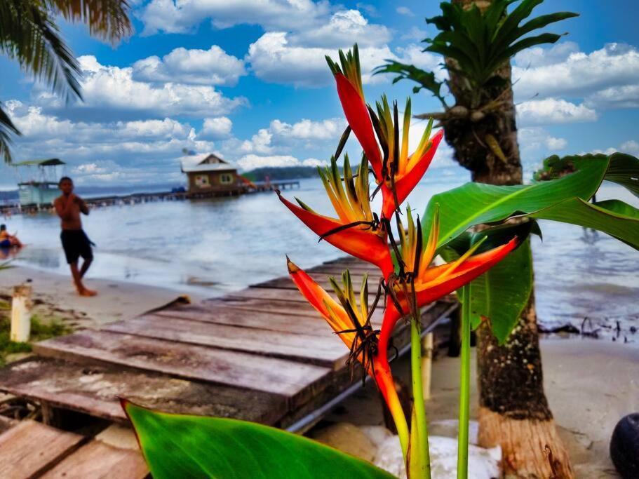 فيلا Poetry Garden Bocas Town Colon Island المظهر الخارجي الصورة