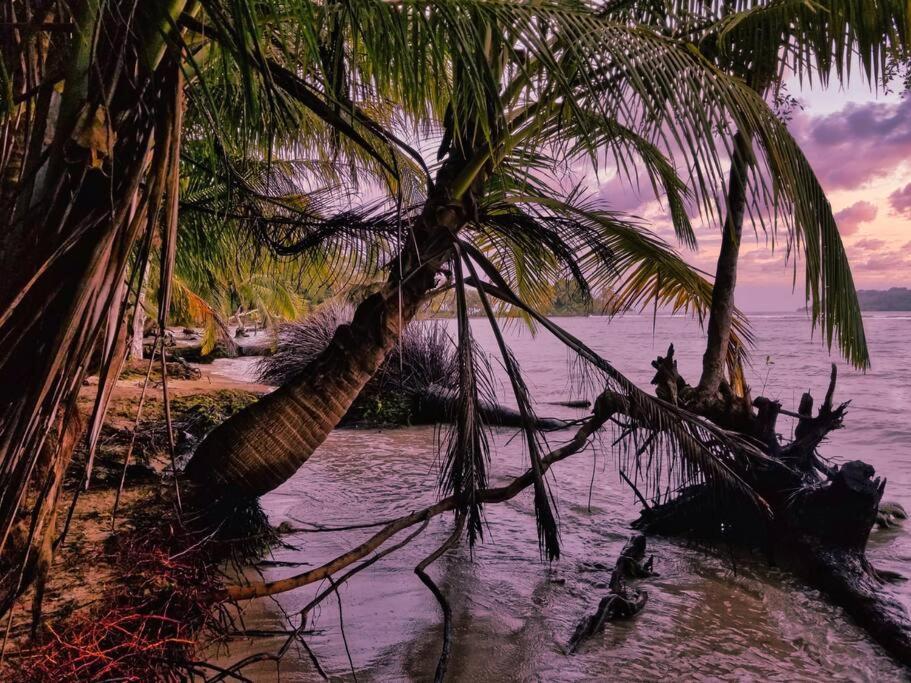 فيلا Poetry Garden Bocas Town Colon Island المظهر الخارجي الصورة